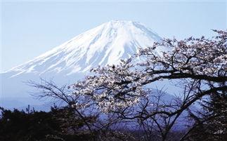 富士山最新爆料新闻,揭秘神秘火山喷发前的征兆与应对措施 第1张 富士山最新爆料新闻,揭秘神秘火山喷发前的征兆与应对措施 第1张